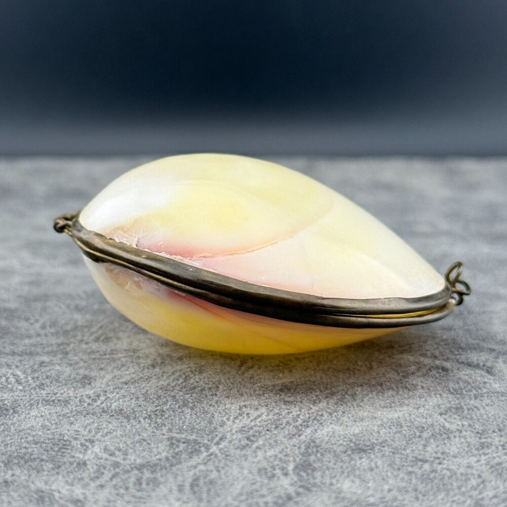 Vintage 3" Clamshell Natural Shell Brass Coin Purse Trinket Box Pill Holder Sea